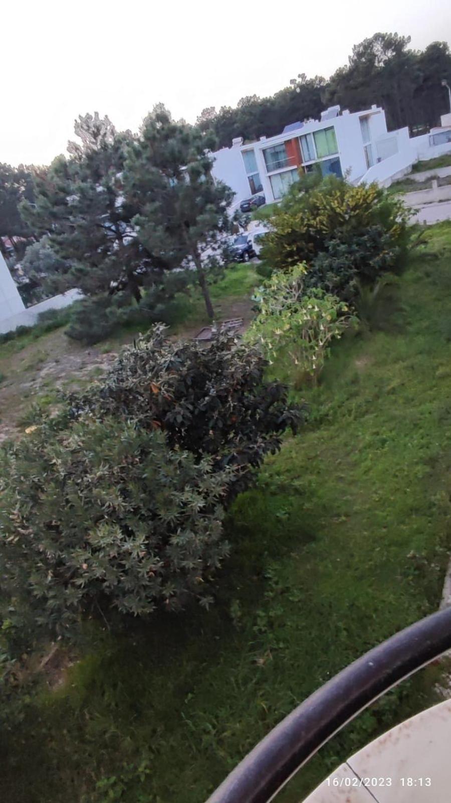 Beach, Surf And Golf Apartment Near Lisbon Aroeira  Eksteriør billede